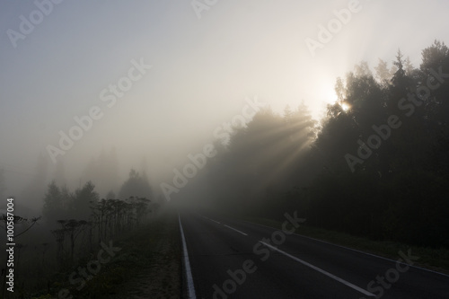 Fog in a countryside