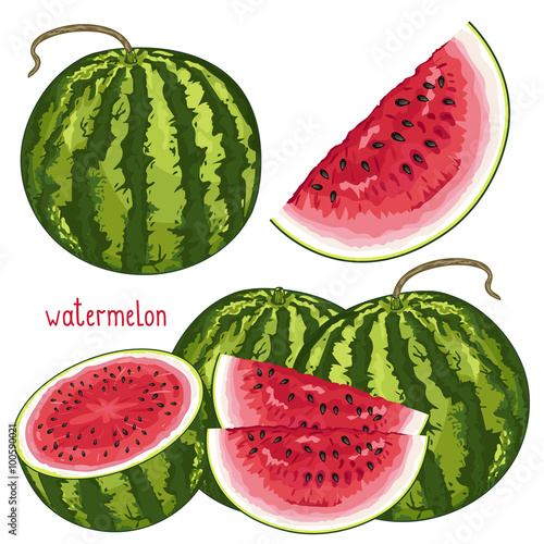 Watermelon Isolated, Vector.