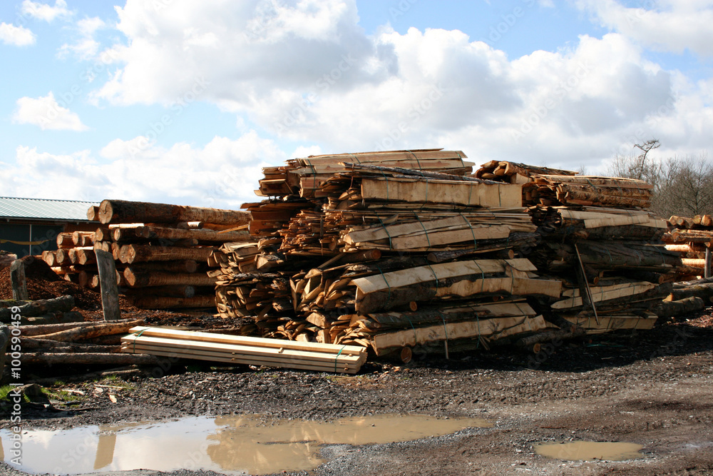 querschnitt holtstapel, holzverarbeitung, holzlager, holzwirtschaft, lifestyle