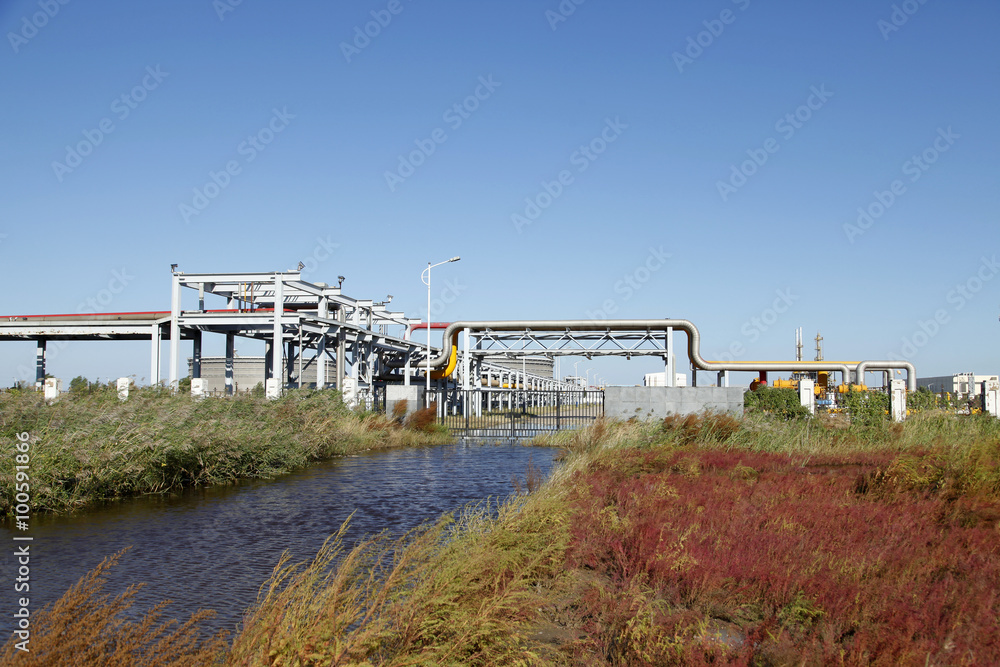 Obraz premium Oil pipeline