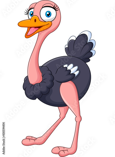 Cute ostrich posing isolated on white background 