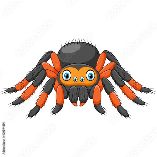 Cartoon spider tarantula with red knees. Danger animal