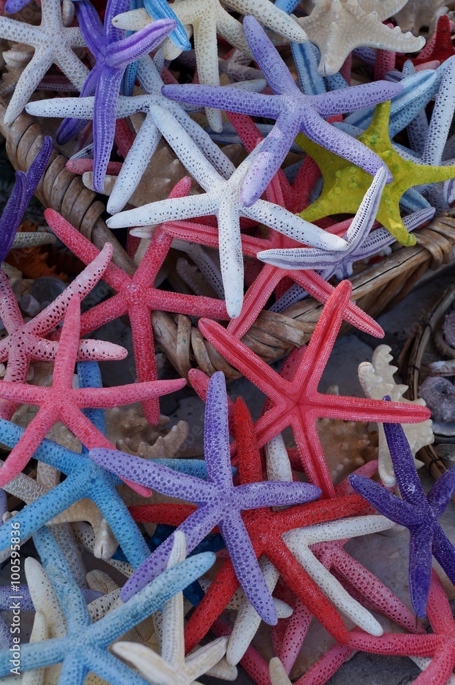 Basket of colorful dried starfish Basket of colorful dried starfish