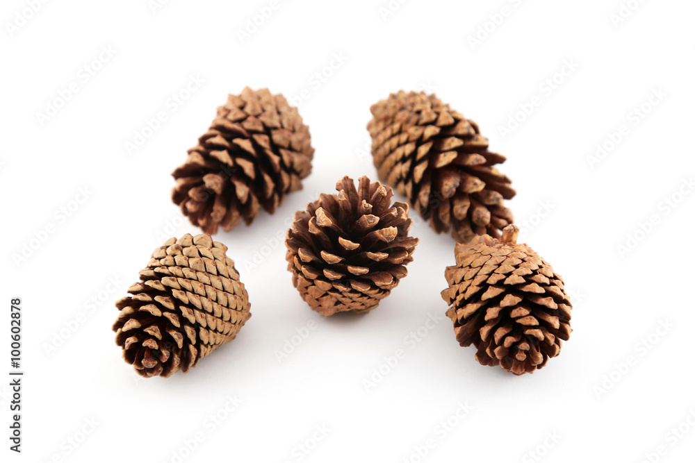 Pine cones on a white background Pine cones on a white background