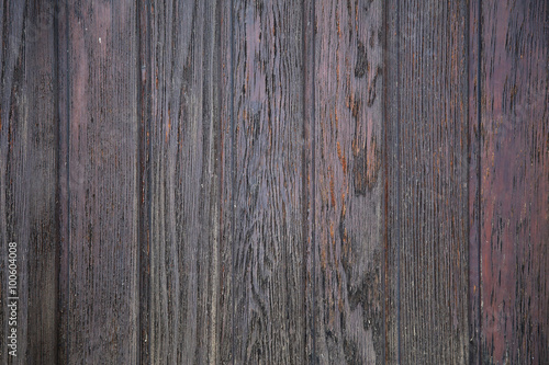 Natural Wood Texture