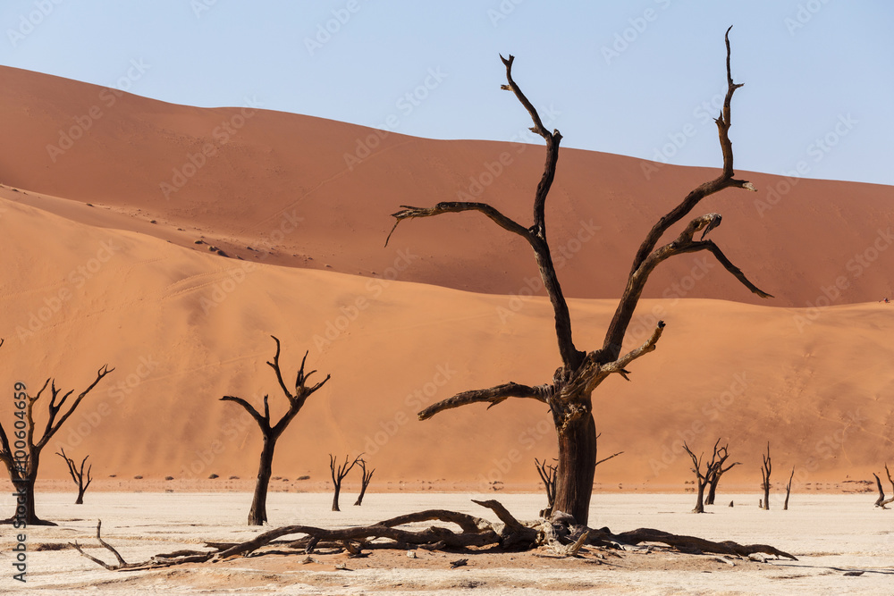 Sossusvlei beautiful landscape of death valley Sossusvlei beautiful landscape of death valley