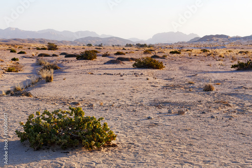 fantastic Namibia desert landscape photo