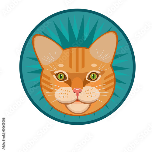 Icon striped red-headed cat/ Icon yellow, red tabby cat with a mustache, and an icon for the site