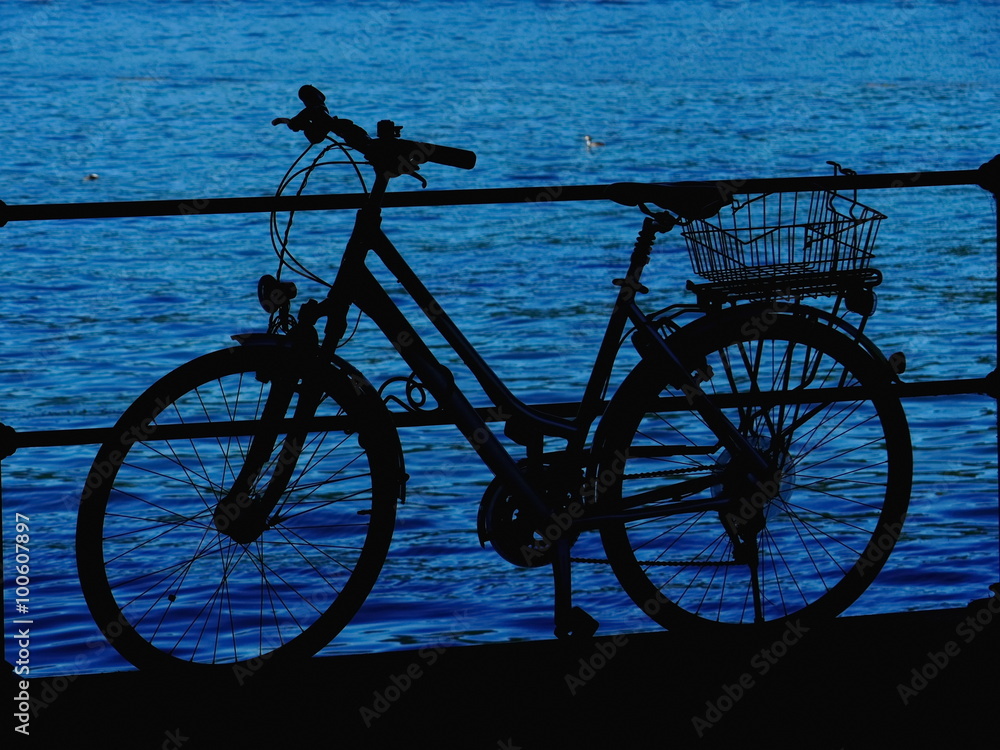 Fototapeta premium bicycle lake silhouette