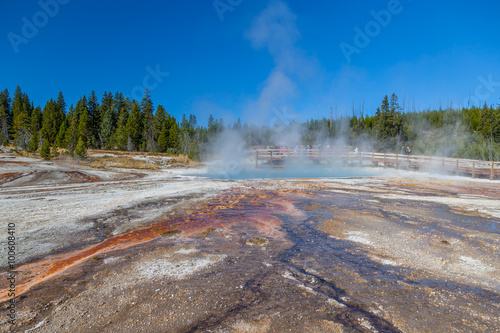 Yellowstone national park