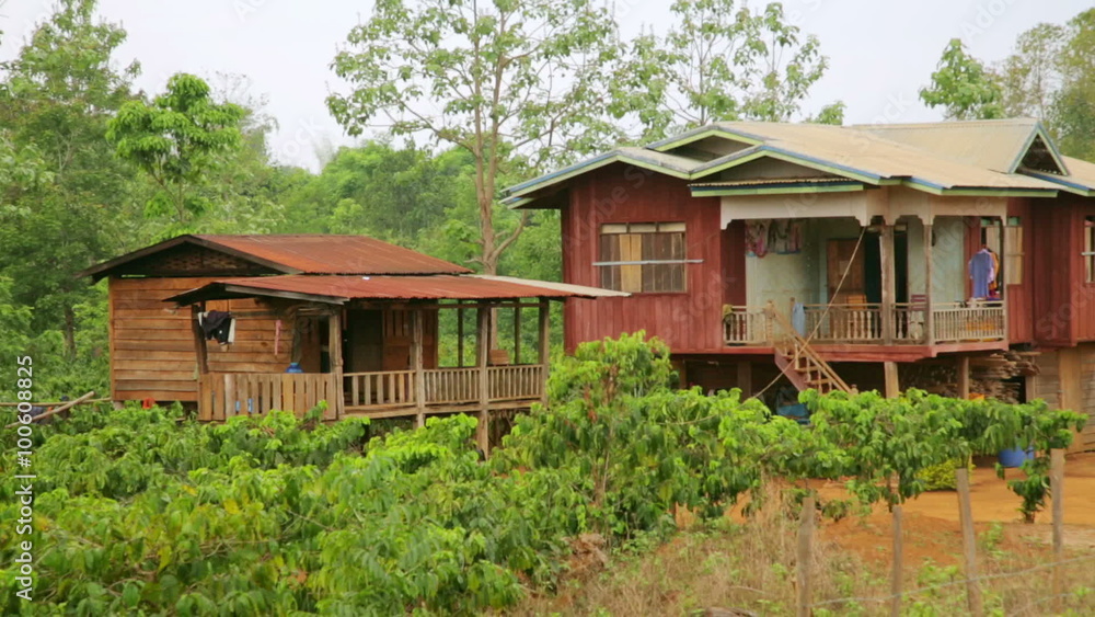 Lao village life around coffee planted Bolaven Plateau, Pakse, Laos Lao village life around coffee planted Bolaven Plateau, Pakse, Laos