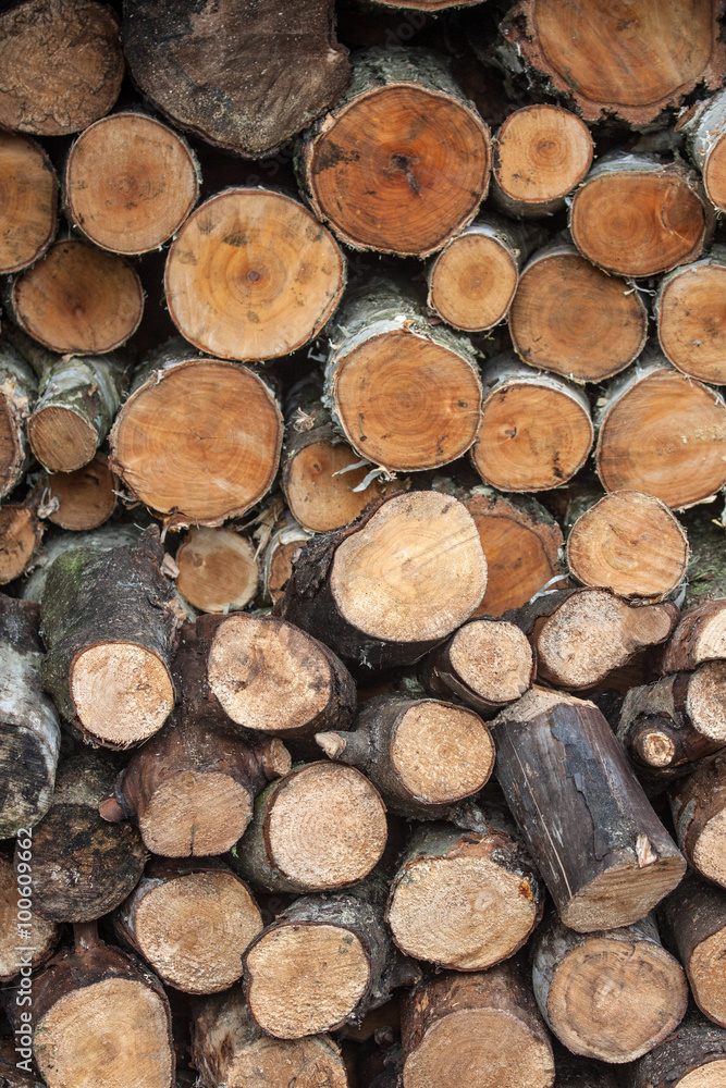Chopped wood stacked as a background Chopped wood stacked as a background