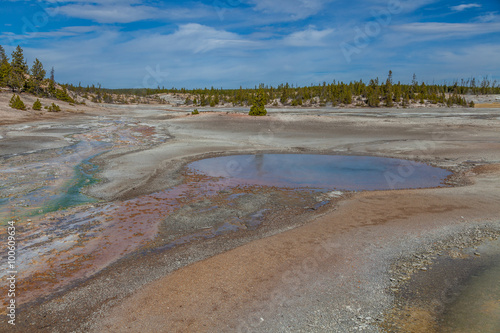 Yellowstone national park