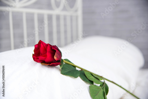 Photos red rose lying on white pillow at bed, Romantic traditions.
