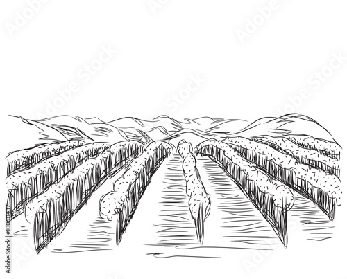 Hand Drawn Landscape with Fields.