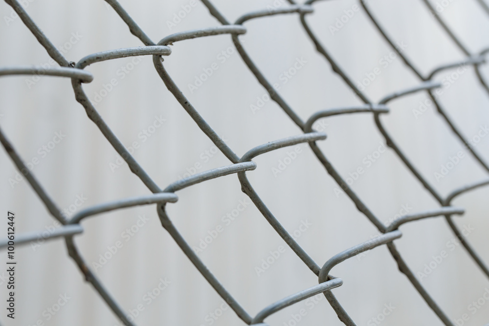 Fototapeta premium mesh