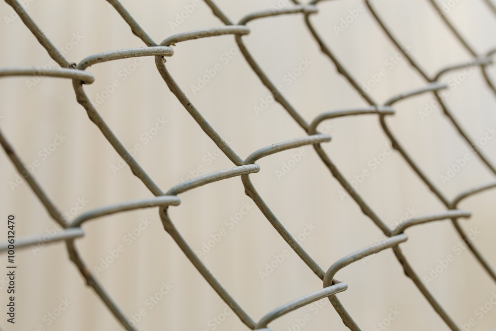 Fototapeta premium mesh