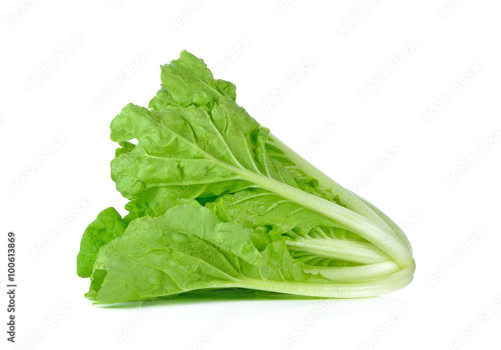 green chinese cabbage on white background green chinese cabbage on white background