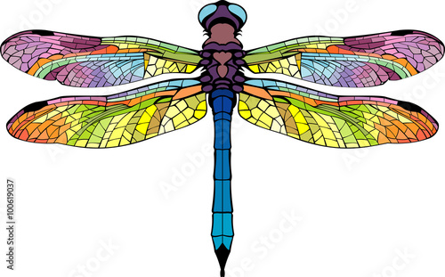 bright stylized dragonfly