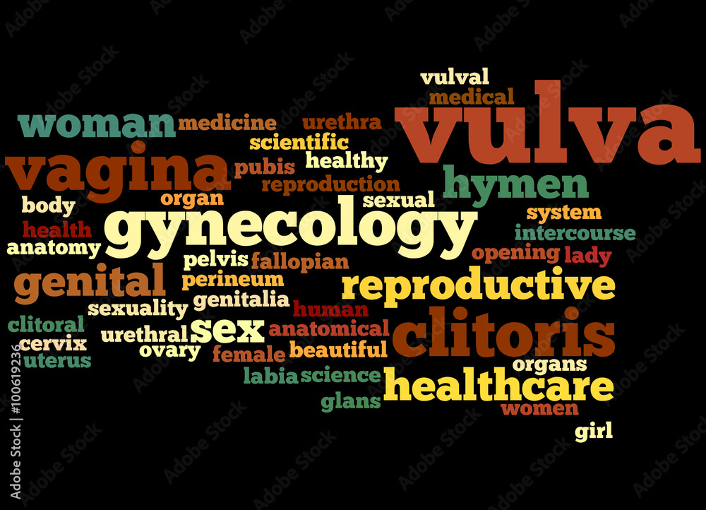 Vulva, word cloud concept 6