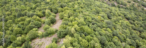 Forest landscape. The landscape in Armenia (Tatev). Forest in mountains top view. 