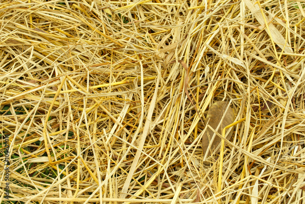 straw straw