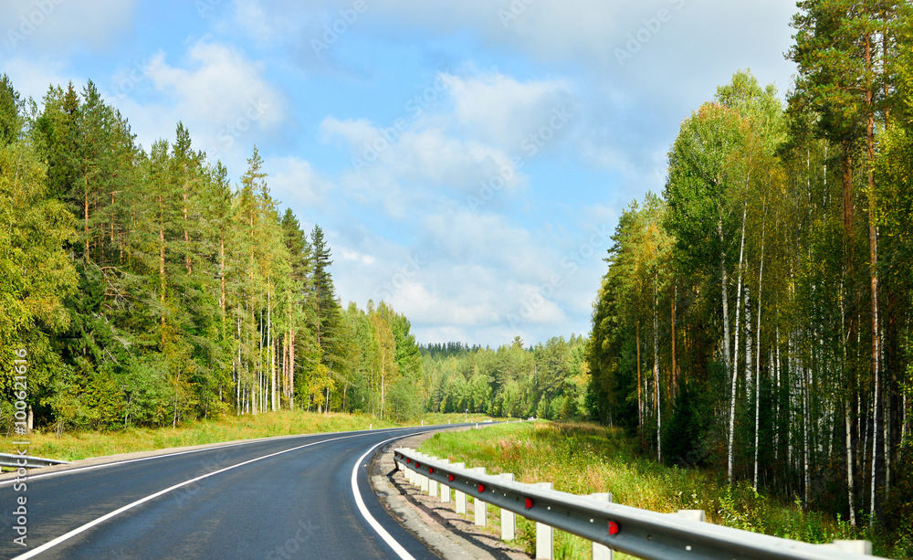 Summer road in Russian forest Summer road in Russian forest