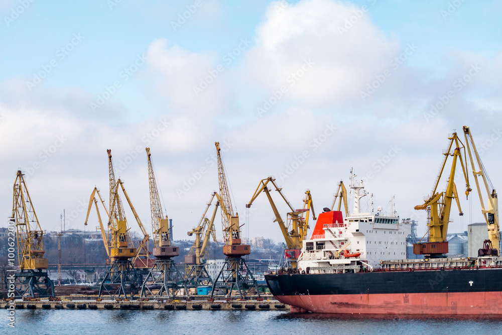 сargo cranes in the port