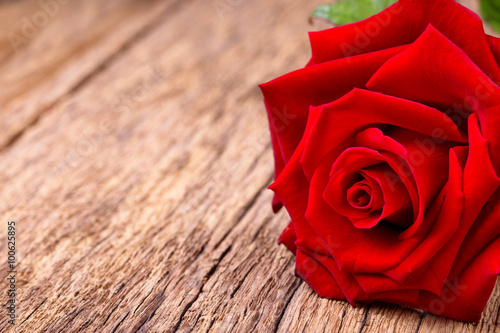 Slika na platnu Red rose on rustic wooden background