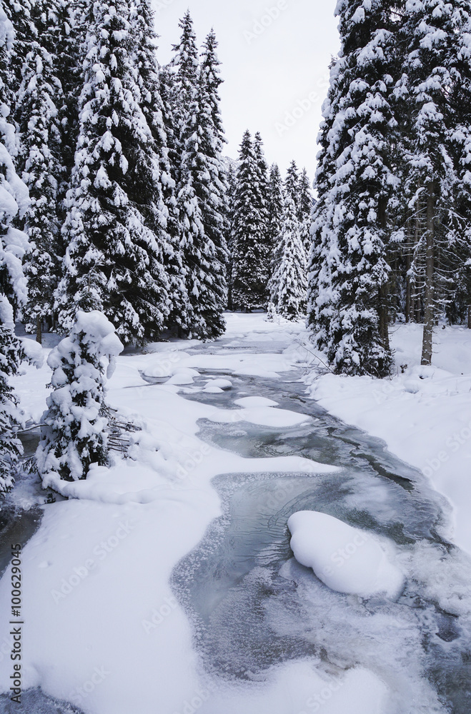 Winterspaziergang
