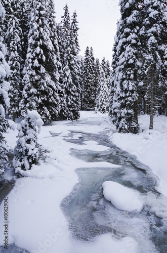 Obraz na płótnie Winterspaziergang w salonie