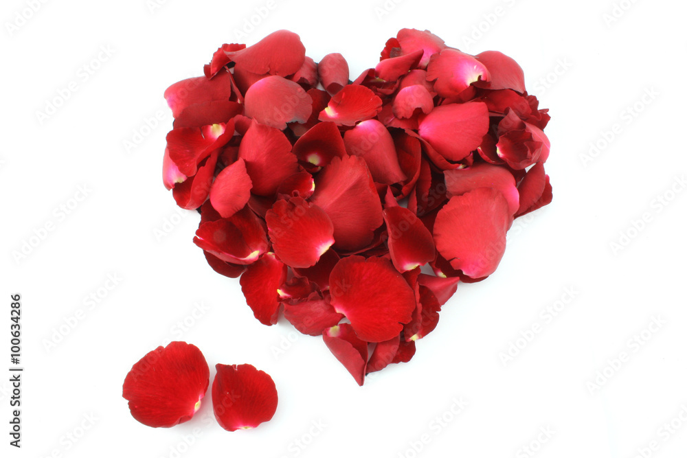 Heart made of rose isolated on white background Heart made of rose isolated on white background