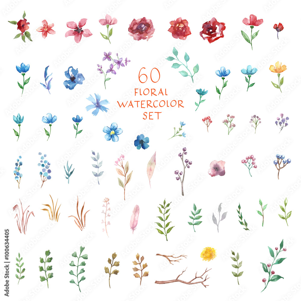 Floral watercolor set. Different vector elements. - obrazy, fototapety, plakaty 