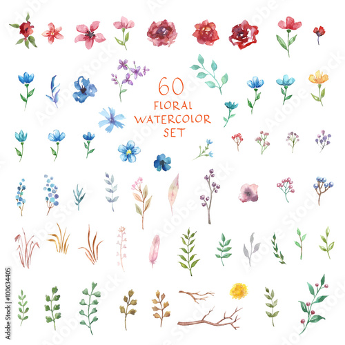 Floral watercolor set. Different vector elements.
