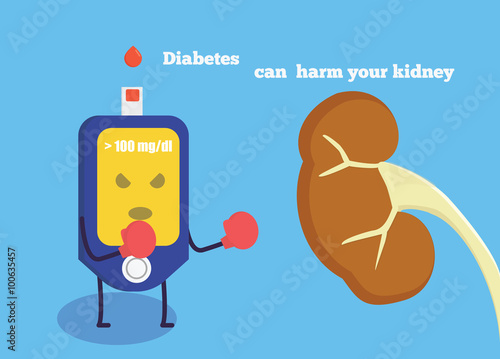 Diabetes can harm your kidney. Diabetes character is boxing against kidney.