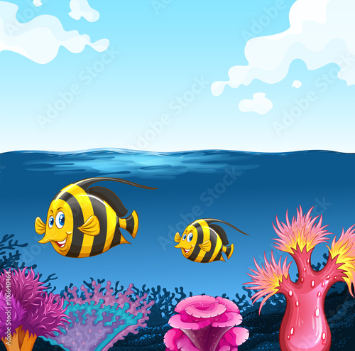Two fish swimming under the sea © blueringmedia