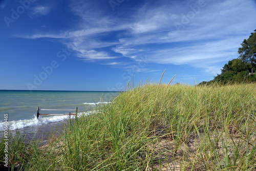 dune grass on a Lake Michigan bluff 