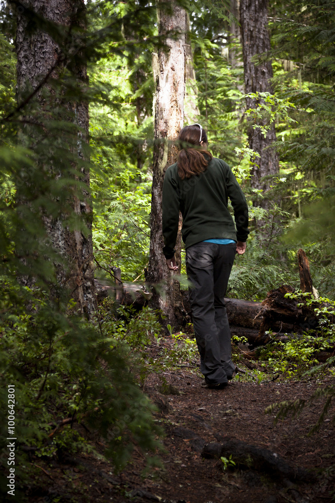 Woman Hiking Through The Woodland Wilderness