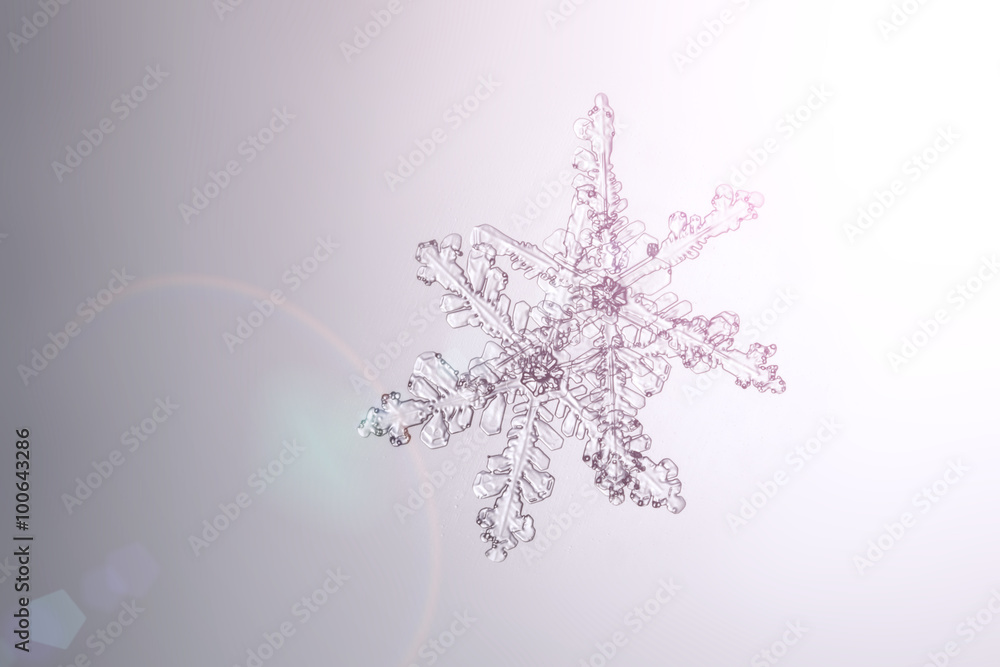real natural bright snowflakes on a glass macro