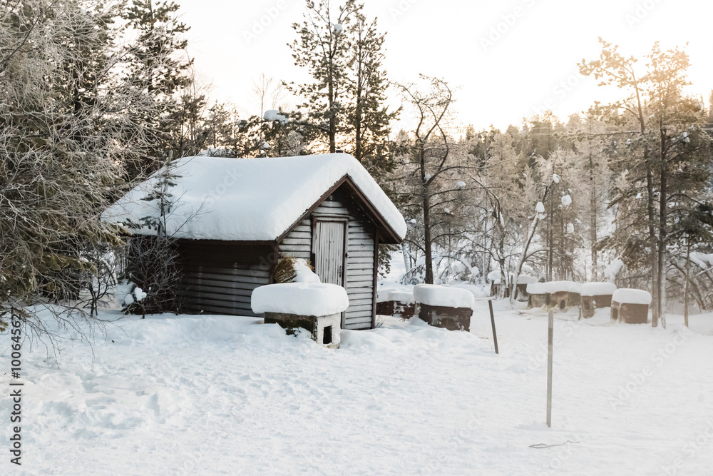 custom made wallpaper toronto digitalWinter landscape in Kiruna Lapland Sweden