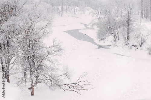 River in forest with hoarfrost, copy space © sun_apple