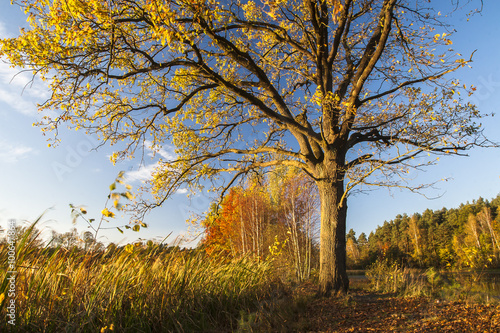 Autumn