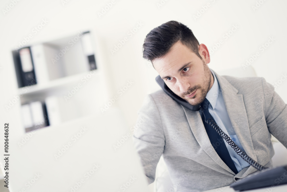 Businessman on phone while using computer in the office Businessman on phone while using computer in the office