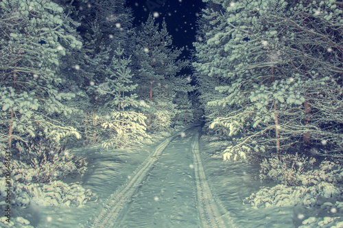 The road in night snowy forest.