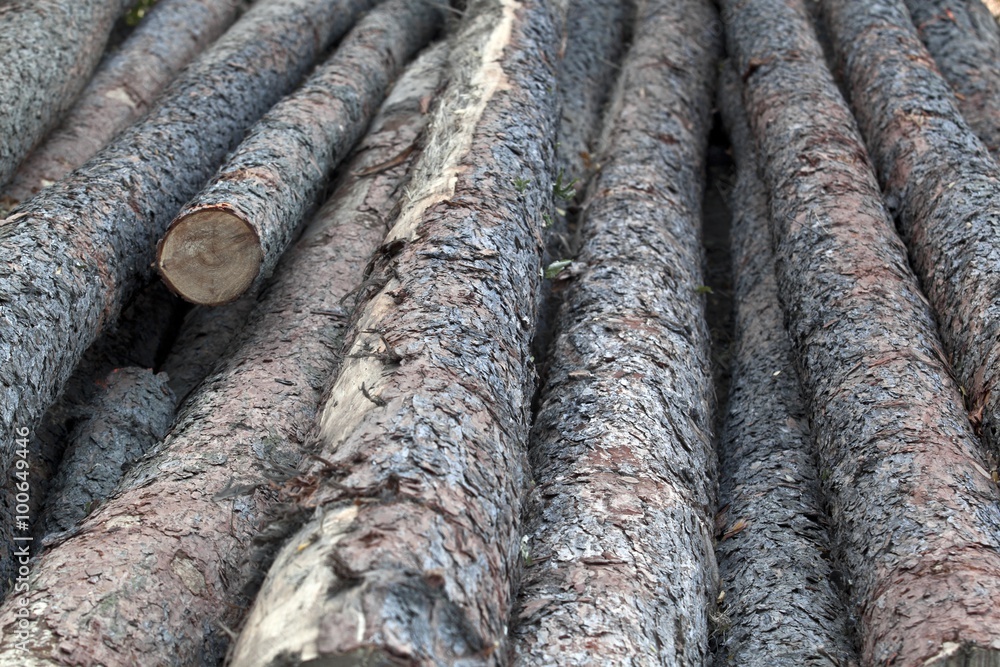 Pile of wood logs Pile of wood logs