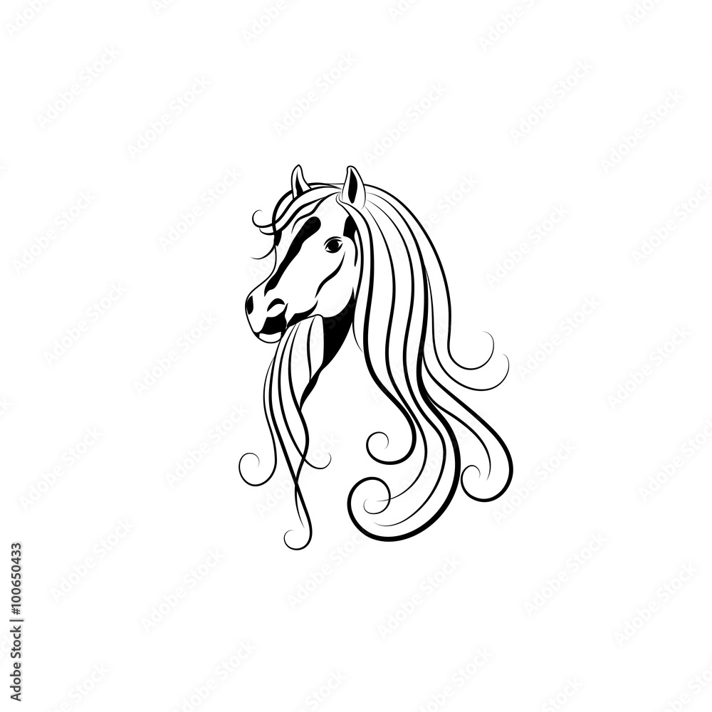 Vector illustration of Horse head in black and white style. Vector illustration of Horse head in black and white style.