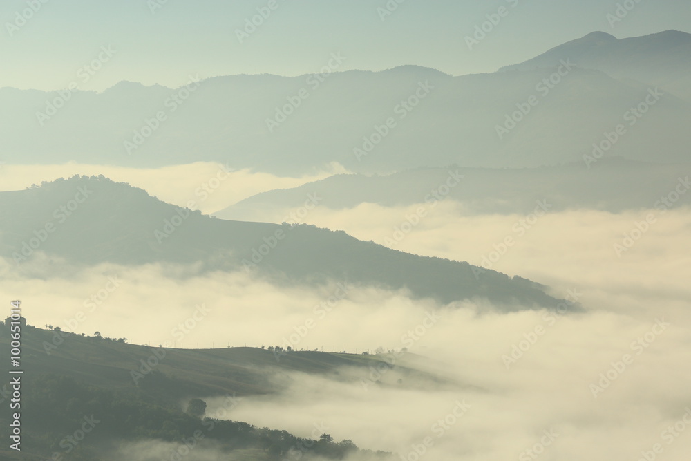 Murgia. Paesaggio puglia