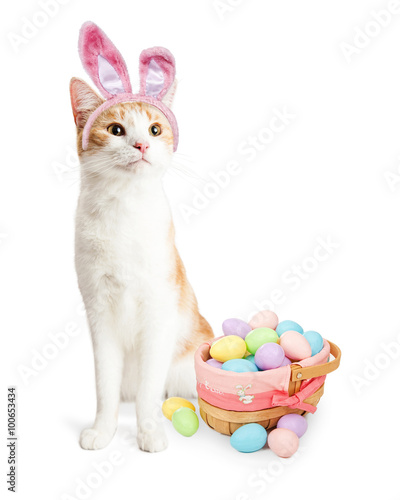 Fototapeta Naklejka Na Ścianę i Meble -  Cute Cat Easter Bunny With Basket