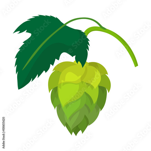 Branch of hops cartoon icon 