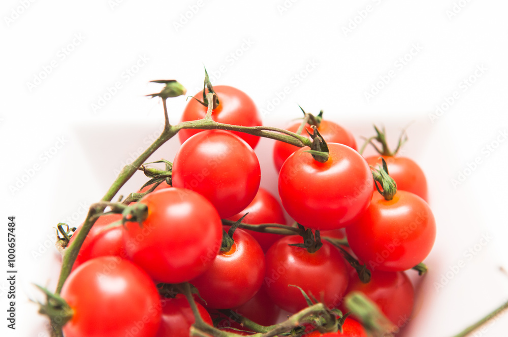 Vine tomatoes on white